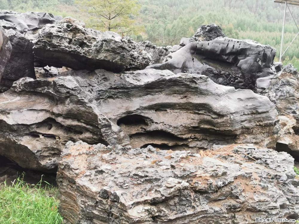 风景石、假山石大量有货，有需要的欢迎联系 - 新手上路 - 上饶生活社区 - 上饶28生活网 sr.28life.net