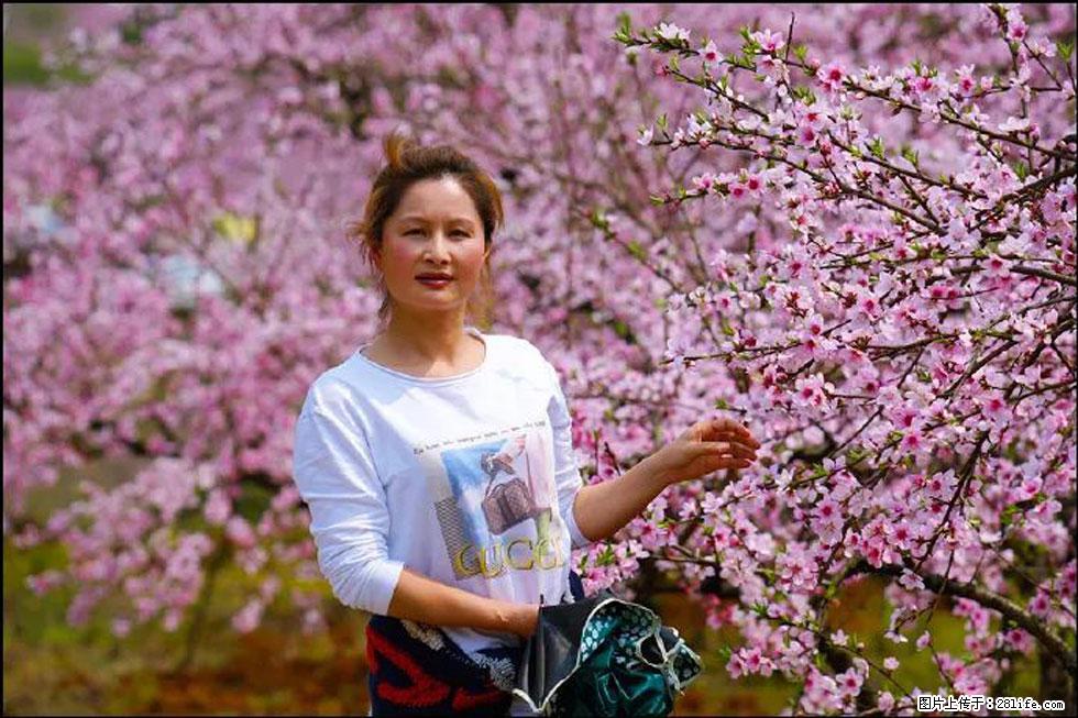 【春天，广西桂林灌阳县向您发出邀请！】官庄村有个醉美的桃花园 - 游山玩水 - 上饶生活社区 - 上饶28生活网 sr.28life.net