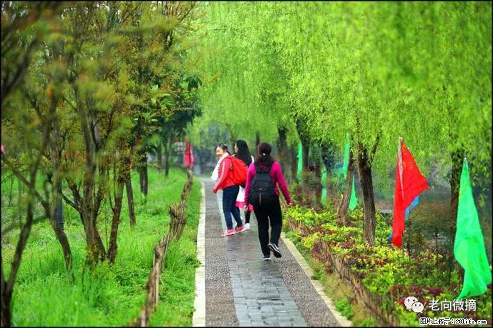 【春天，广西桂林灌阳县向您发出邀请！】江口老街又逢春 - 游山玩水 - 上饶生活社区 - 上饶28生活网 sr.28life.net