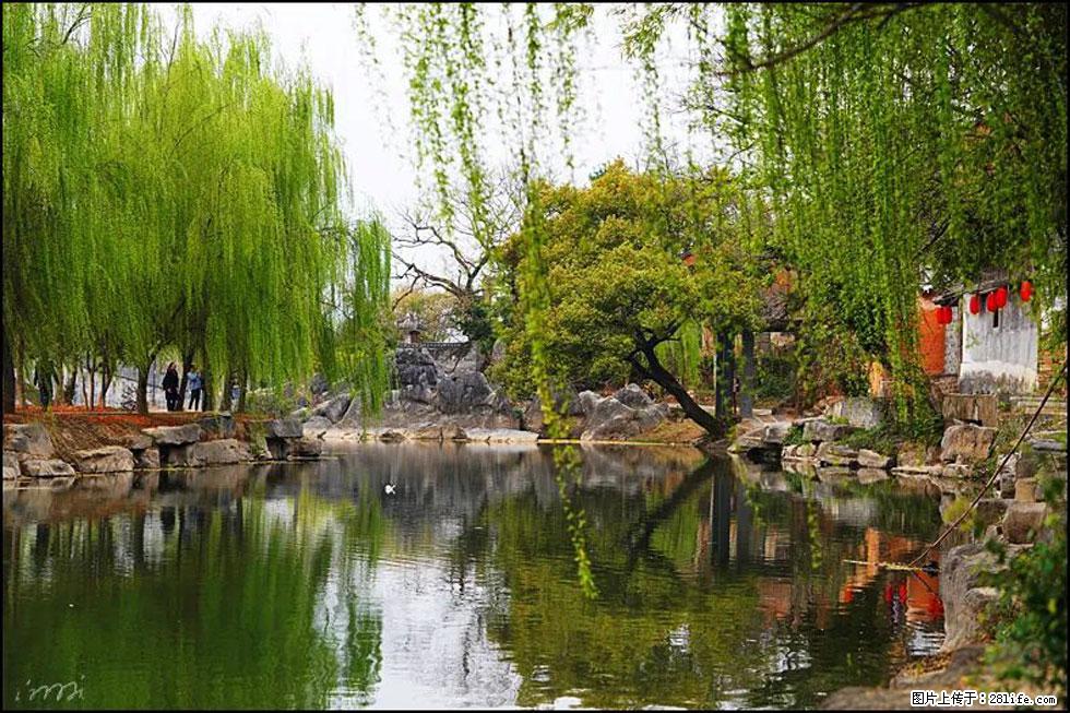 【春天，广西桂林灌阳县向您发出邀请！】江口老街又逢春 - 游山玩水 - 上饶生活社区 - 上饶28生活网 sr.28life.net