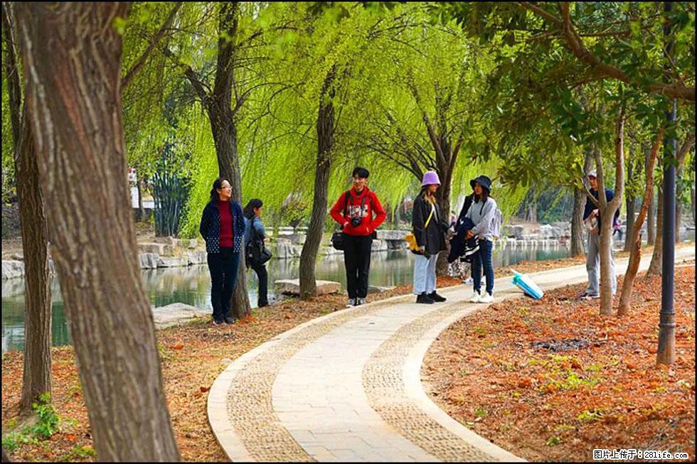 【春天，广西桂林灌阳县向您发出邀请！】江口老街又逢春 - 游山玩水 - 上饶生活社区 - 上饶28生活网 sr.28life.net