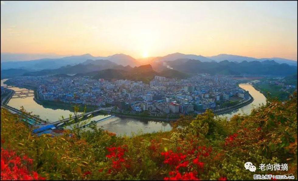【春天，广西桂林灌阳县向您发出邀请！】登麒麟山，相约映山红 - 游山玩水 - 上饶生活社区 - 上饶28生活网 sr.28life.net