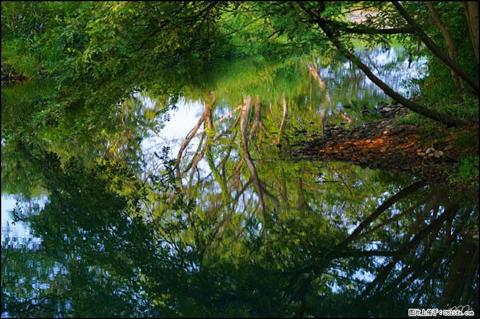 【春天，广西桂林灌阳县向您发出邀请！】熊家寨湿地公园 - 游山玩水 - 上饶生活社区 - 上饶28生活网 sr.28life.net