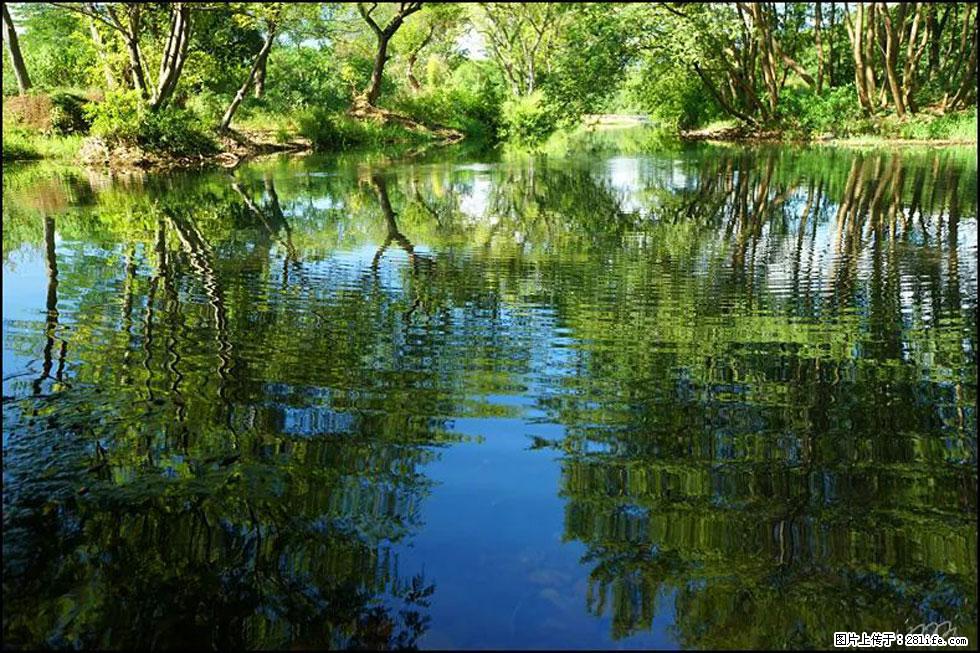 【春天，广西桂林灌阳县向您发出邀请！】熊家寨湿地公园 - 游山玩水 - 上饶生活社区 - 上饶28生活网 sr.28life.net