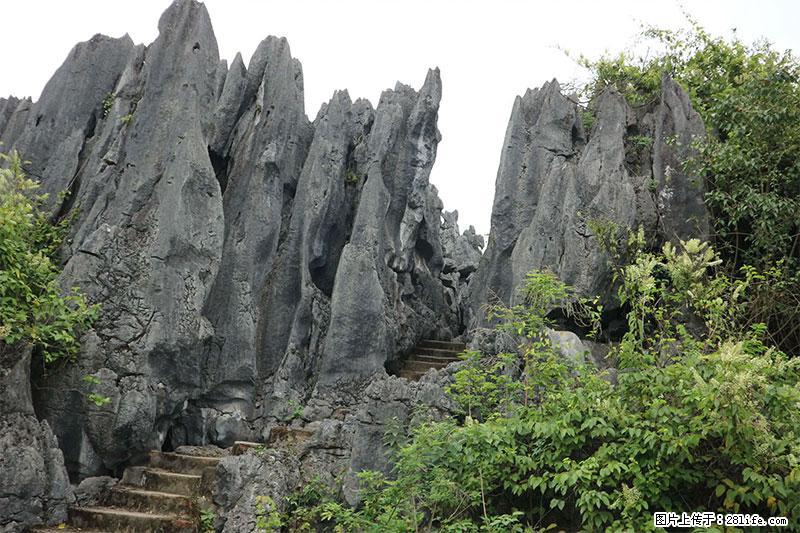 桂林旅游名城景点：灌阳文市石林 - 游山玩水 - 上饶生活社区 - 上饶28生活网 sr.28life.net