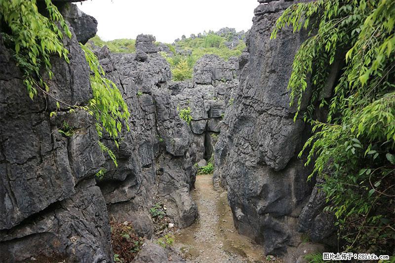 桂林旅游名城景点：灌阳文市石林 - 游山玩水 - 上饶生活社区 - 上饶28生活网 sr.28life.net