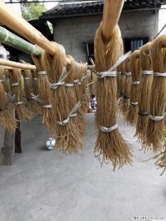 【灌阳正宗红薯粉】美女家里自己做的，干净卫生，假一赔十，价格合理，抢购电话：13737312895 - 上饶28生活网 sr.28life.net