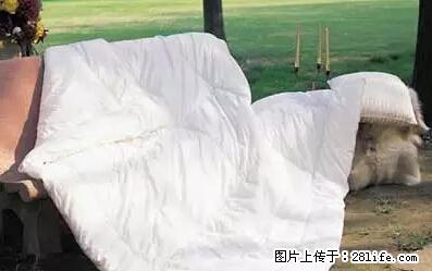 被子有异味？只要这样做，比晒太阳还强100倍！ - 家居生活 - 上饶生活社区 - 上饶28生活网 sr.28life.net