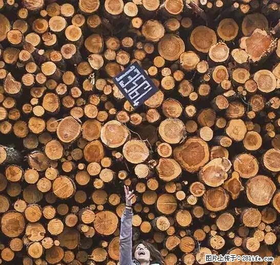 辞掉工作周游世界？现在他们在洗厕所…… - 游山玩水 - 上饶生活社区 - 上饶28生活网 sr.28life.net