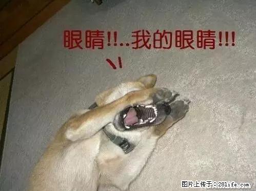 笑癫了！一女的怀孕三年未生，他终于忍不住了... - 娱乐八卦 - 上饶生活社区 - 上饶28生活网 sr.28life.net