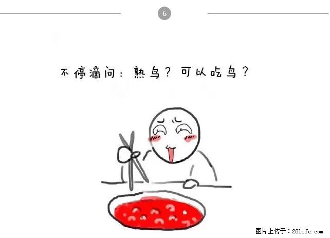 千万不要和这9种哈卵一起吃火锅！ - 美食天地 - 上饶生活社区 - 上饶28生活网 sr.28life.net