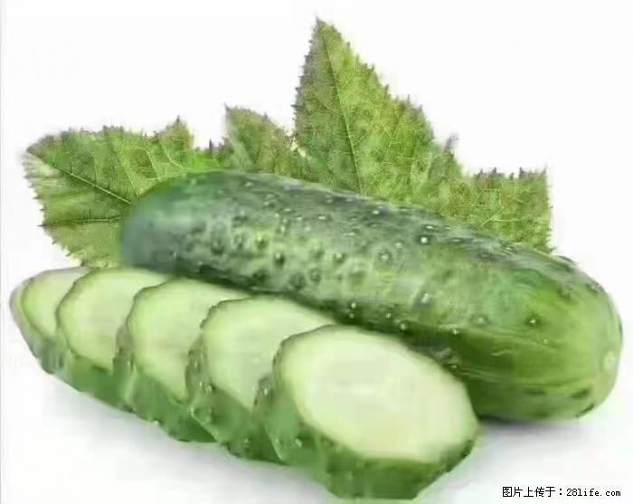 【生活小常识】吃黄瓜的好处 - 生活百科 - 上饶生活社区 - 上饶28生活网 sr.28life.net