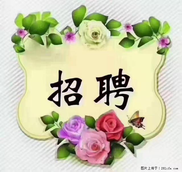 【招聘】住家育儿嫂，上户日期：4月4日，工作地址：上海 黄浦区 - 职场交流 - 上饶生活社区 - 上饶28生活网 sr.28life.net