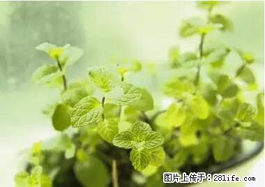 晕车、脚气、牙齿变黄、皮肤粗糙？学会这些三分钟搞定！ - 上饶生活资讯 - 上饶28生活网 sr.28life.net