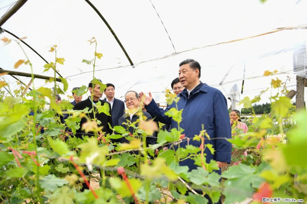 习近平赴广西考察调研 - 上饶生活资讯 - 上饶28生活网 sr.28life.net