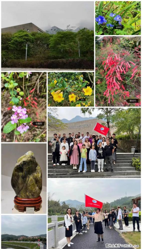 “粤灌文化 美好生活”油茶文化主题活动在广东深圳成功举办 - 上饶生活资讯 - 上饶28生活网 sr.28life.net