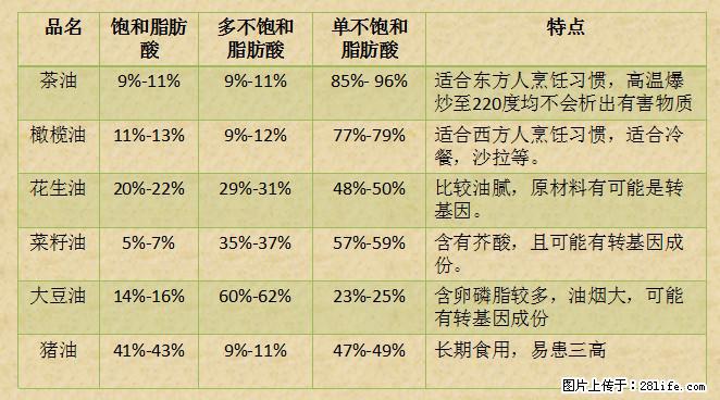 揭秘茶油的5大核心营养成分！被称为人体健康的“守护盾”！ - 上饶生活资讯 - 上饶28生活网 sr.28life.net
