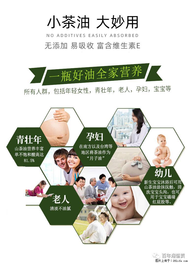 世界没有真相，只有认知，最好的食用油是中国的山茶油！ - 上饶生活资讯 - 上饶28生活网 sr.28life.net