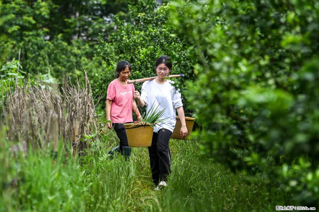 全网追的“扁担女孩”，找了一份暑假工，时薪12元 - 上饶生活资讯 - 上饶28生活网 sr.28life.net