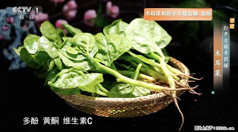 比牛奶补钙还厉害！凉血解毒、稳血糖...这菜冬天必吃，很多人却当草 - 上饶生活资讯 - 上饶28生活网 sr.28life.net