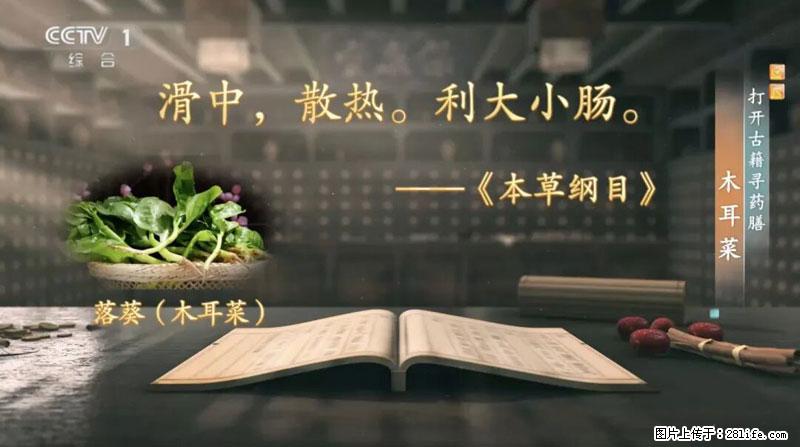 比牛奶补钙还厉害！凉血解毒、稳血糖...这菜冬天必吃，很多人却当草 - 上饶生活资讯 - 上饶28生活网 sr.28life.net