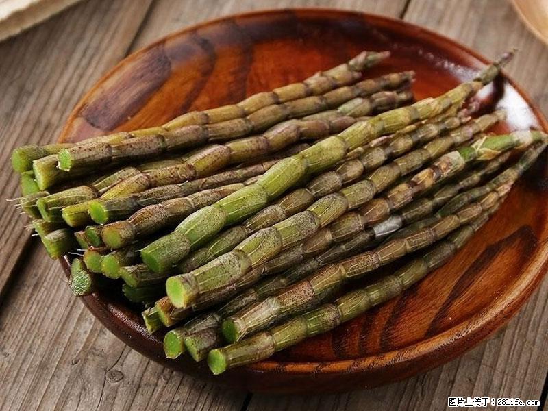 铁皮石斛的作用与功能主治 - 上饶生活资讯 - 上饶28生活网 sr.28life.net